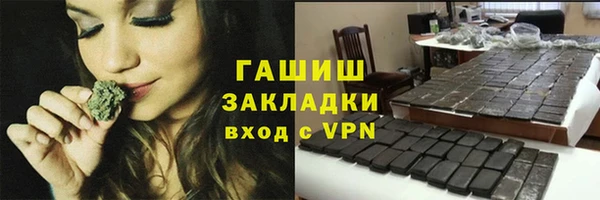 индика Новокубанск