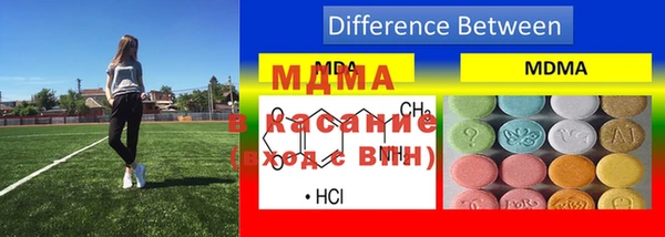 индика Новокубанск