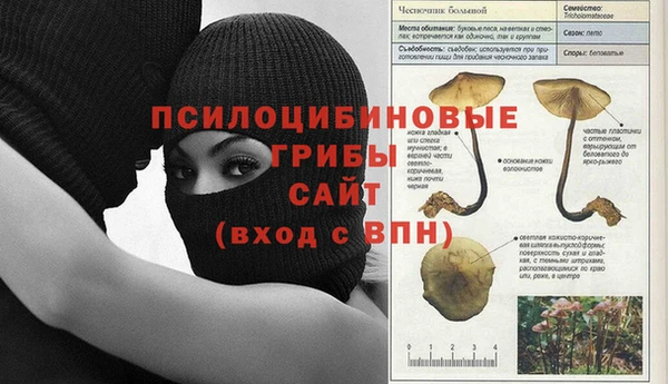 амф Нязепетровск