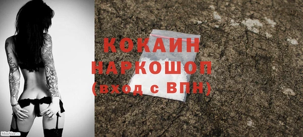 индика Новокубанск