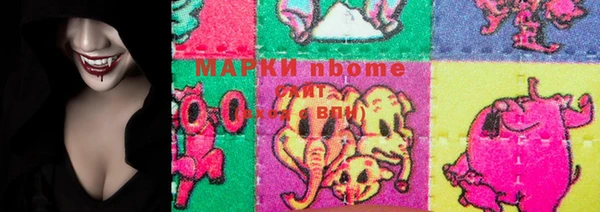 индика Новокубанск