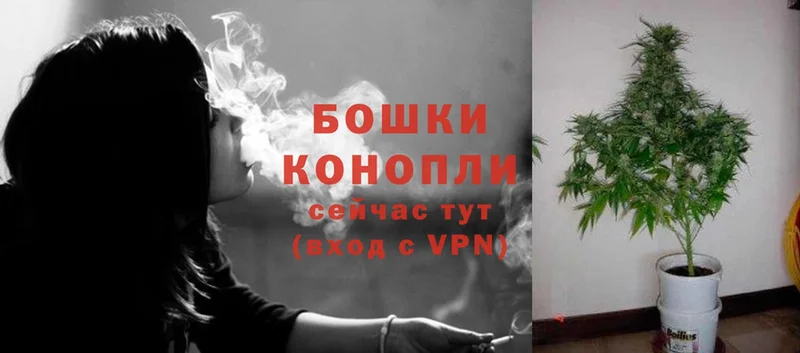 купить закладку  Островной  Конопля Ganja 